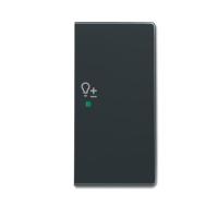 VIPPA DIMMER HÖGER ANTRACIT